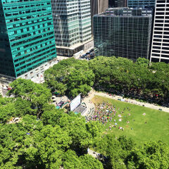 Отель Bryant Park Hotel США, Нью-Йорк - отзывы, цены и фото номеров - забронировать отель Bryant Park Hotel онлайн с домашними животными