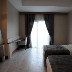 Elite Hotels Darica Spa & Convention Center Турция, Гебзе - отзывы, цены и фото номеров - забронировать отель Elite Hotels Darica Spa & Convention Center онлайн комната для гостей фото 3