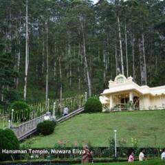 Отель Heaven Seven Nuwara Eliya Шри-Ланка, Нувара-Элия - отзывы, цены и фото номеров - забронировать отель Heaven Seven Nuwara Eliya онлайн помещение для мероприятий фото 2