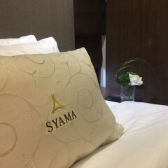 Отель Syama Sukhumvit 20 Таиланд, Бангкок - отзывы, цены и фото номеров - забронировать отель Syama Sukhumvit 20 онлайн ванная фото 2