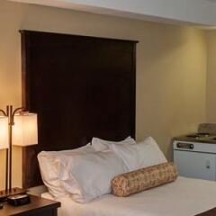 Отель Best Western Maple Ridge Hotel Канада, Мэйпл-Ридж - отзывы, цены и фото номеров - забронировать отель Best Western Maple Ridge Hotel онлайн в номере фото 2