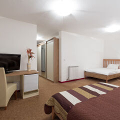 Отель Garni Hotel Villa Family Сербия, Белград - отзывы, цены и фото номеров - забронировать отель Garni Hotel Villa Family онлайн удобства в номере