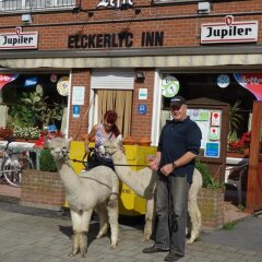 Отель Elckerlyck Inn Hotel Бельгия, Кортрейк - отзывы, цены и фото номеров - забронировать отель Elckerlyck Inn Hotel онлайн