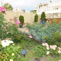 Гостиница Guesthouse Dubrava фото 5