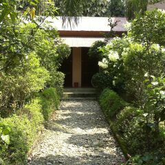Отель Sauraha Boutique Resort Непал, Саураха - отзывы, цены и фото номеров - забронировать отель Sauraha Boutique Resort онлайн фото 10
