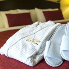Отель Les Suites Hotel Канада, Оттава - отзывы, цены и фото номеров - забронировать отель Les Suites Hotel онлайн удобства в номере