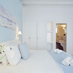 Anemoessa Boutique Hotel Mykonos комната для гостей фото 3
