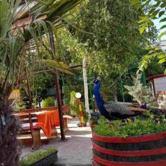 Отель Meatsa Hotel Болгария, Карджали - отзывы, цены и фото номеров - забронировать отель Meatsa Hotel онлайн детские мероприятия фото 2