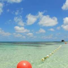 Отель Cocoplum Beach Колумбия, Сан-Луис - 1 отзыв об отеле, цены и фото номеров - забронировать отель Cocoplum Beach онлайн спортивное сооружение