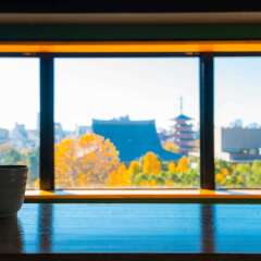 Отель Khaosan Tokyo Origami - Hostel Япония, Токио - отзывы, цены и фото номеров - забронировать отель Khaosan Tokyo Origami - Hostel онлайн бассейн