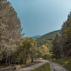 Отель Apricot Aghveran Resort фото 8