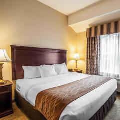 Отель Comfort Inn And Suites McMinnville комната для гостей фото 3