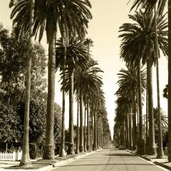 Отель The Westin Los Angeles Airport США, Лос-Анджелес - отзывы, цены и фото номеров - забронировать отель The Westin Los Angeles Airport онлайн фото 3