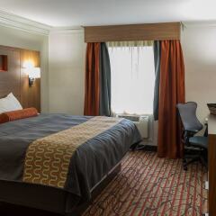 Отель Kalika Hotel США, Ниагара-Фолс - отзывы, цены и фото номеров - забронировать отель Kalika Hotel онлайн комната для гостей фото 5