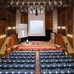 Отель Radisson Blu Hc Andersen Оденсе развлечения