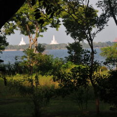 Отель Water's Edge Anuradhapura Шри-Ланка, Анурадхапура - отзывы, цены и фото номеров - забронировать отель Water's Edge Anuradhapura онлайн приотельная территория фото 2