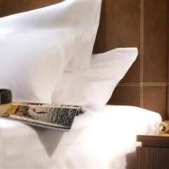 L'Hermitage Hotel Shenzhen в номере фото 2