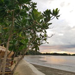 Отель Saladan Beach Resort Таиланд, Ланта - отзывы, цены и фото номеров - забронировать отель Saladan Beach Resort онлайн фото 8
