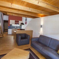 Отель Apartaments Im Schindlhaus комната для гостей