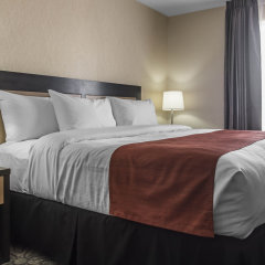 Отель Quality Inn & Suites Канада, Кингстон - отзывы, цены и фото номеров - забронировать отель Quality Inn & Suites онлайн комната для гостей фото 2