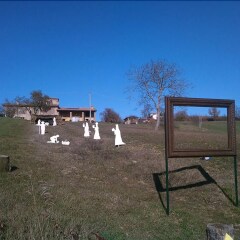 Отель Agriturismo Il Filare Невьяно-дельи-Ардуини детские мероприятия фото 2