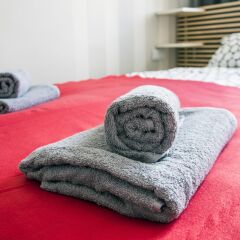 Апартаменты Fox Center Apartments с домашними животными