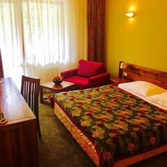Отель Club Hotel Yanakiev Болгария, Боровец - отзывы, цены и фото номеров - забронировать отель Club Hotel Yanakiev онлайн комната для гостей фото 2