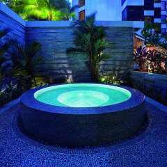 Отель Grand Hyatt Singapore Сингапур, Сингапур - 1 отзыв об отеле, цены и фото номеров - забронировать отель Grand Hyatt Singapore онлайн бассейн фото 3