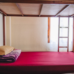 Organic Garden Hotel Далат комната для гостей