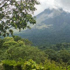 Отель Arenal Tropical Garden Эль-Кастильо фото 9