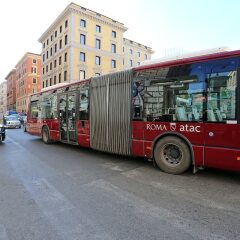 Отель AdoraSuite 2 городской автобус