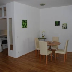 Апартаменты Duschel Apartments Вена комната для гостей фото 3