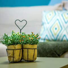 Отель Emerald Suite
