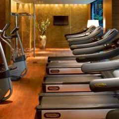 Отель Grand Hyatt Singapore Сингапур, Сингапур - 1 отзыв об отеле, цены и фото номеров - забронировать отель Grand Hyatt Singapore онлайн фитнесс-зал фото 2