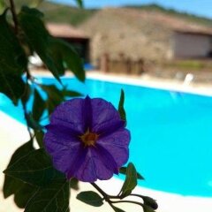 Отель Agriturismo San Giorgio Италия, Казаль-Велино - отзывы, цены и фото номеров - забронировать отель Agriturismo San Giorgio онлайн приотельная территория фото 2