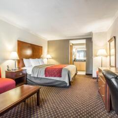 Отель Comfort Inn Near Pasadena Civic Auditorium США, Пасадена - отзывы, цены и фото номеров - забронировать отель Comfort Inn Near Pasadena Civic Auditorium онлайн комната для гостей фото 5