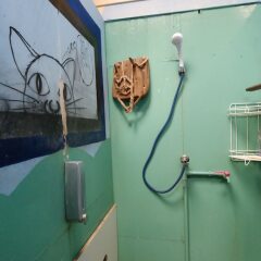 Peacock Hostel Ланта бассейн фото 3