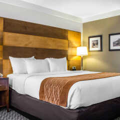 Отель Comfort Inn & Suites Durango 2* Стандартный номер с различными типами кроватей