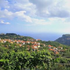 Отель Agriturismo Il Castagno Аджерола фото 4