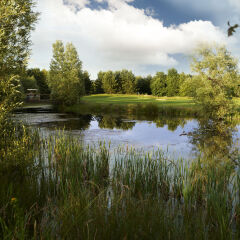 Отель Essex Golf & Country Club Великобритания, Колчестер - отзывы, цены и фото номеров - забронировать отель Essex Golf & Country Club онлайн приотельная территория фото 2