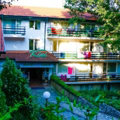 Park Hotel Kini- All Incusive фото 2