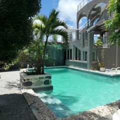 Sun Tan Apartment 5, Near the Ocean in Cul de Sac, Sint Maarten from 152$, photos, reviews - zenhotels.com pool photo 2