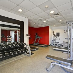 Отель Hilton Garden Inn Sarasota - Bradenton Airport фитнесс-зал фото 3