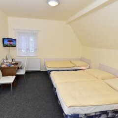Hotel U Jezirka Либерец комната для гостей фото 3
