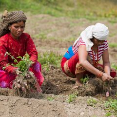 Отель Hananoie-A Permaculture Resort Непал, Лехнат - отзывы, цены и фото номеров - забронировать отель Hananoie-A Permaculture Resort онлайн развлечения