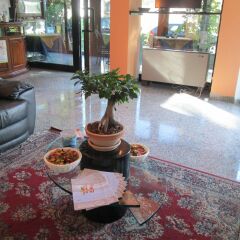 Hotel Solemar фото 4