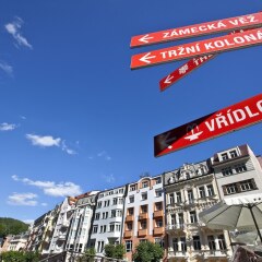 Отель Spa Hotel Dvorák Чехия, Карловы Вары - 6 отзывов об отеле, цены и фото номеров - забронировать отель Spa Hotel Dvorák онлайн фото 6