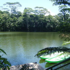 Отель Colo-I-Suva Rainforest Eco Resort Вити-Леву приотельная территория
