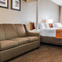Comfort Suites Grandville - Grand Rapids SW in Belmont, United States of America from 127$, photos, reviews - zenhotels.com guestroom photo 5