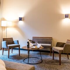 Отель Europa Royale Kaunas Литва, Каунас - 1 отзыв об отеле, цены и фото номеров - забронировать отель Europa Royale Kaunas онлайн фото 17